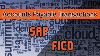 SAP FICO | Basics Concept and Process Flow Within Account Payable | Accounts Payable Transactions