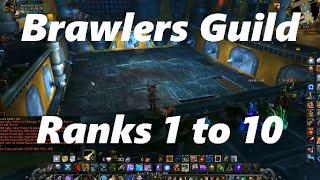 Brawlers Guild All bosses Rank 1 to 10