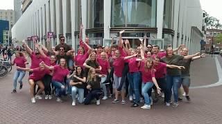 Flashmob van Pabo Inholland in Dordrecht