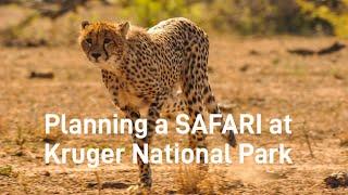 How To Plan A Value-for-money Safari at Kruger National Park, South Africa