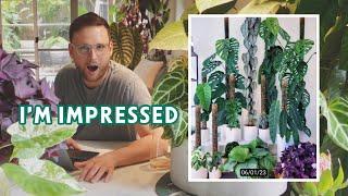 REACTING TO YOUR PLANT COLLECTIONS - Part 1