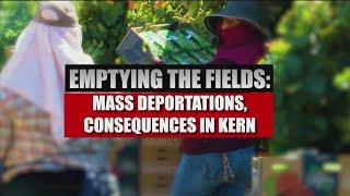 Emptying the fields: Mass deportations, consequences in Kern