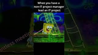 When you have a non-IT Project Manager #itmemes #itprofessional #funnyvideo #funny