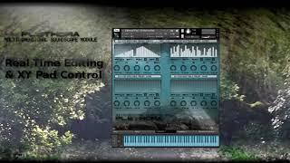 Sampletrip PLETHORA Video Demo   Real Time Editing & XY Pad Control