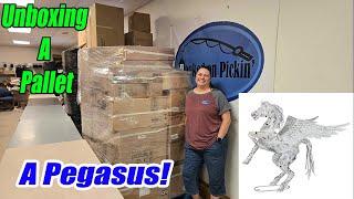 Unboxing this entire Pallet and we found a Pegasus! Check out all the Other Mystery items we unbox!