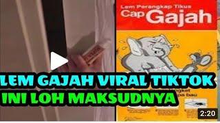 Lem Gajah Video Yang Viral di Tiktok ada apa sih?