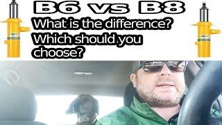 Bilstein B6 vs B8