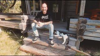 I Bought an Abandoned Off Grid Log Cabin Deep in the Woods / Moving In with My 2 Cats  EP14