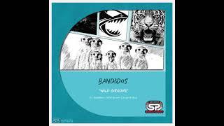 Band&Dos - Wild Groove (Original Mix)