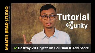 Unity Tutorial: Destroy 2D Object On Collision & Add Score