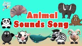 The Animal Sounds Song HSA1 | Colorfull Hide n Seek | Cheerfull | Edufam Kids Song and Nursery Rhyme