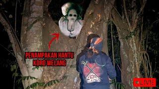 KI SURYO WIJOYO MENAKLUKKAN HANTU KORO WELANG