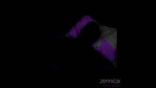 zennicai - entry levels (EP) (2022 - Ambient / Noise)