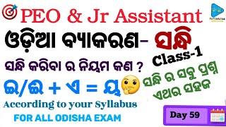 Odia Grammar | OSSSC PEO & Jr Assistant | All Odisha Exam