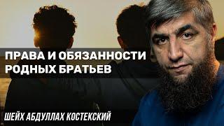 Права и обязанности родных братьев