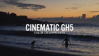 GH5 LUTs Cinematic | Free Lumix GH5 LUT  Pack