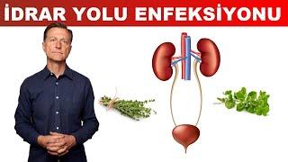 İdrar Yolu Enfeksiyonu (İYE) için En İyi Tedavi | Dr.Berg Türkçe