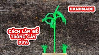 Kim Hân Channel | Cây dừa bằng ống hút - tiềm năng cho nông nghiệp hiện đại