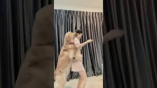 anjing sange sama manusia #tiktok #viral