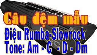 Câu đệm mẫu điệu Rumba điệu Slowrock  đệm mẫu điệu Rumba Tone Am C Dm  D