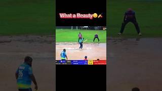 What a Shot #softball #cricket #srilanka #indiancricket #shorts #shortvideo