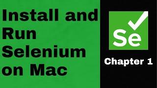 Install and Run Selenium on Mac| The TechFlow