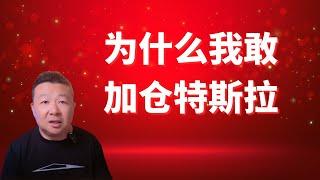 我为什么敢又加仓特斯拉｜特斯拉股票｜马斯克计划｜特斯拉暴跌