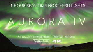 1 HOUR REAL-TIME 4K NORTHERN LIGHTS - Relaxation compilation / Tromsø, Arctic Norway / relaxing