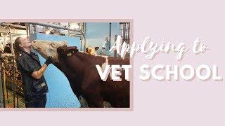 Getting in to Vet School // 9 Essential Steps to Get In