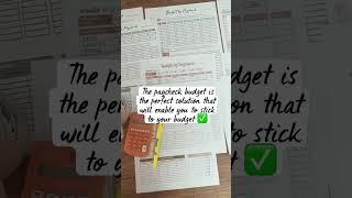 Paycheck Budget Templates #paychecktopaycheck #paycheckbreakdown #paycheckbudget #budgetbypaycheck