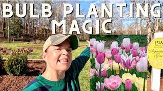 How We Plant Over 2k Bulbs in the Signature Garden!