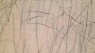 Close up: Academy, Cy Twombly