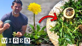 How To Turn Garden Weeds Into Delicious Meals | Basic Instincts | WIRED