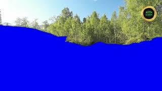 Free Blue screen Effects panorama tree view