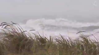  Hurricane, Storm Ambience on the Beach with Heavy Rough Ocean Waves Crashing on the Coast
