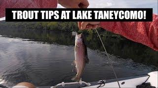 Trout fishing tips at Branson on Lake Taneycomo!