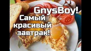 Самый красивый завтрак! Рецепт 6+. GnysBoy