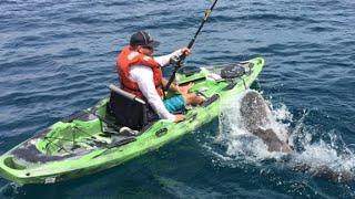 Watch shark flip over kayaker in middle of ocean