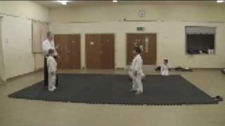 AI-KID-DO ninin-dori and 6-count kata training