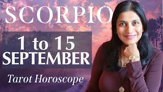 SCORPIO Tarot reading from 1st to 15th September 2024