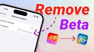 How to Remove iOS 18/17 Beta From iPhone - Official Way and No Data Loss