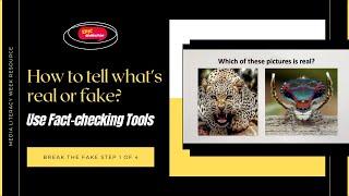 Break the Fake:  Use these fact-checking tools (Step 1 of 4)