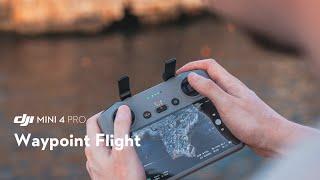 DJI Mini 4 Pro｜Waypoint Flight