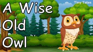 A Wise Old Owl | Moral Story in English | Tiny Tales |1 minute stories | Audiobook