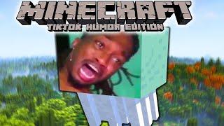 Minecraft: TikTok Humor Edition