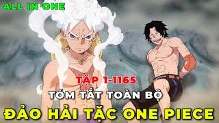 TÓM TẮT TOÀN BỘ ONE PIECE I HÀNH TRÌNH TÌM KIẾM KHO BÁU ONE PIECE CỦA LUFFY VÀ BĂNG HẢI TẶC MŨ RƠM I