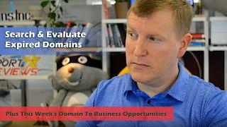 Expired Domain Research Tools - From Domain To Profit - Wk 4