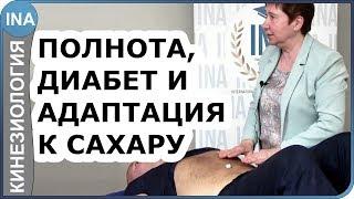 Полнота, диабет и адаптация к сахару. Проф. Васильева кинезиология