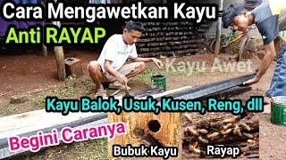 CARA MENGAWETKAN KAYU ANTI RAYAP  Cara Membasmi Rayap di Rumah  Obat Kayu Anti Rayap dan Bubuk