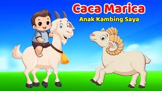 Caca Marica ANAK KAMBING SAYA | Lagu Anak Anak balita Populer